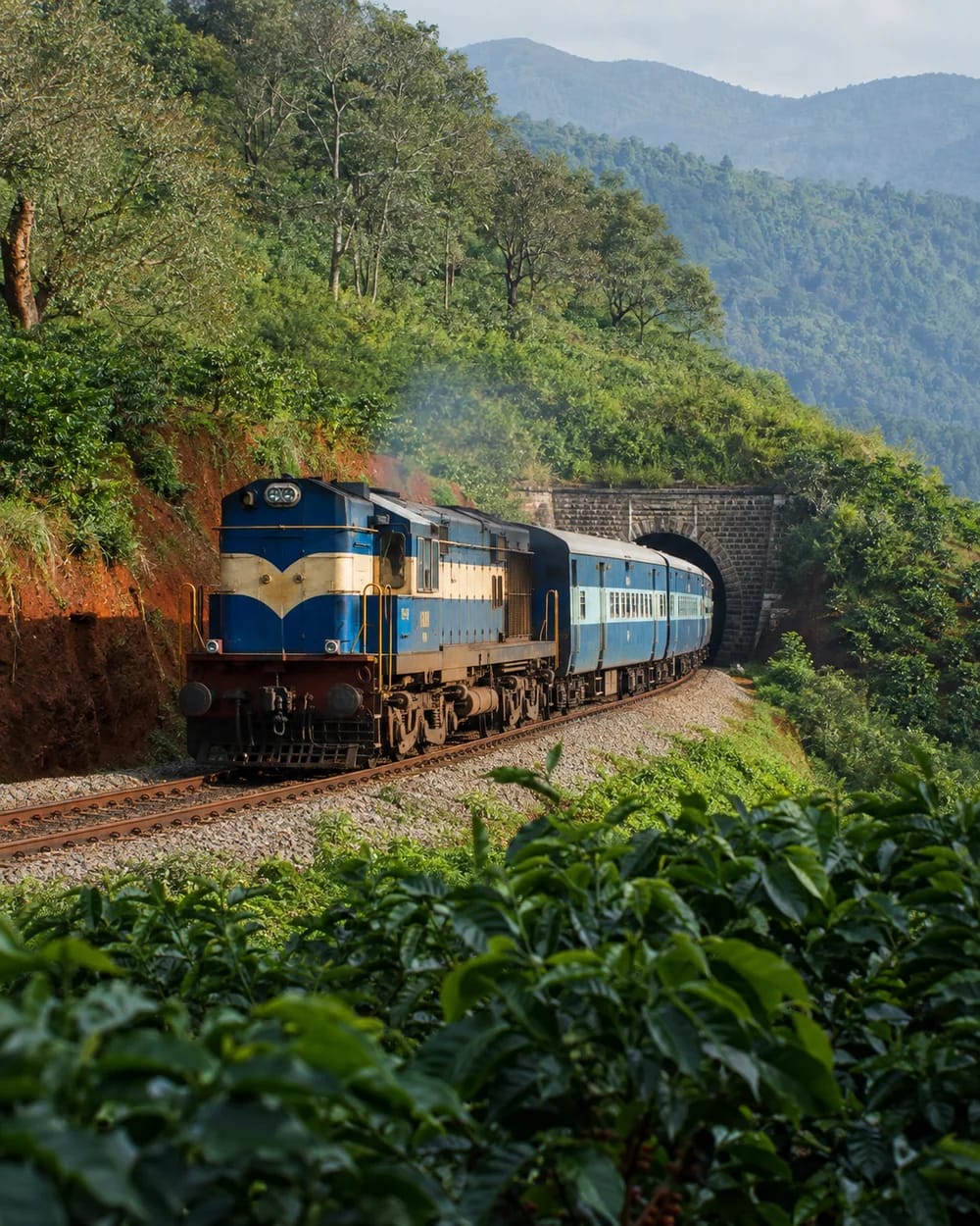 A passenger train curving through the coffee-covered slopes of Araku Valley